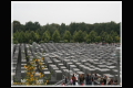 Impressionen (30).jpg